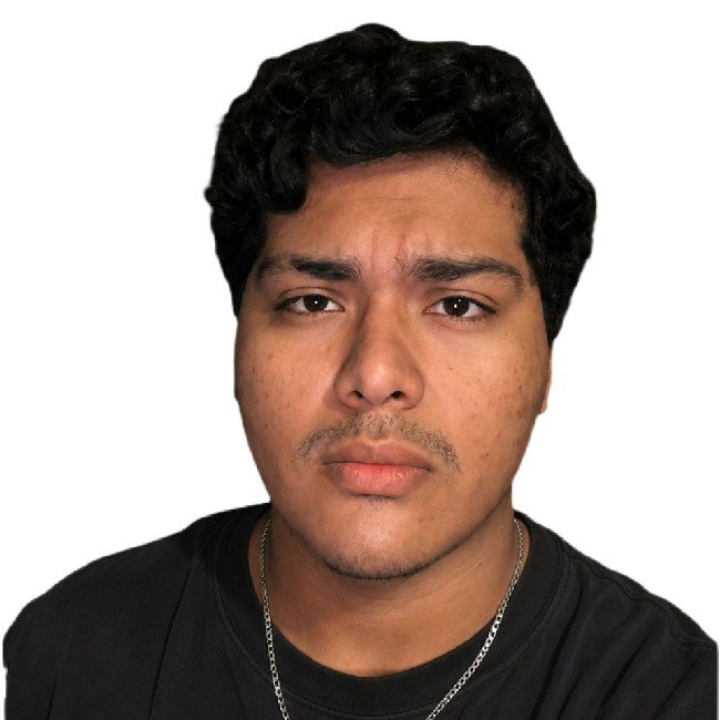 Ricardo Miguel Peña Guzman