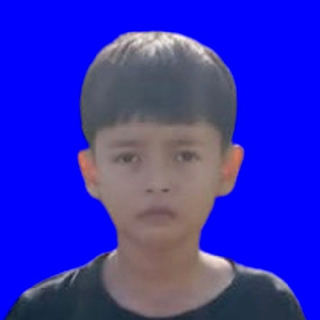 MUHAMMAD HAFIZ ALFARIZI