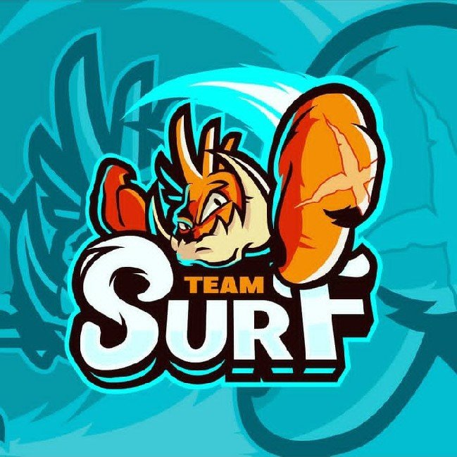 TEAM SURF