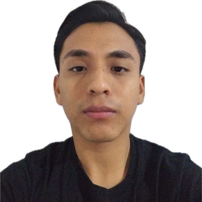Diego Armando Alarcon Choque