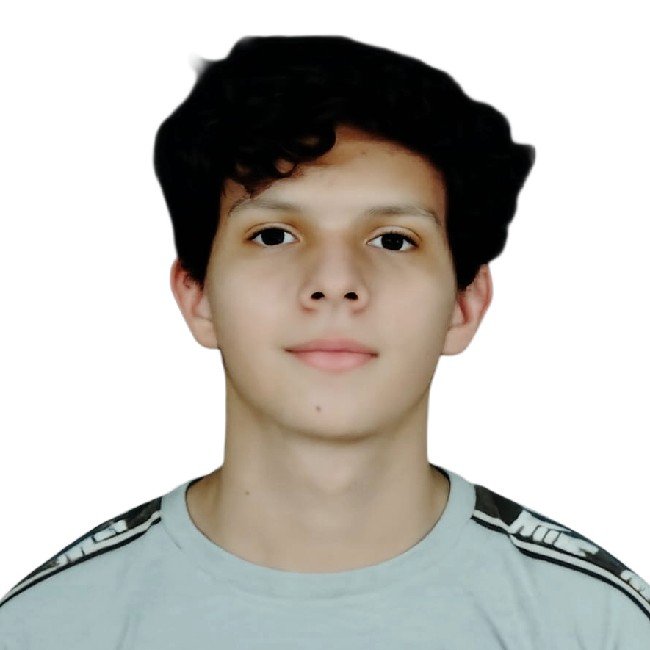 Luis Fernando Lino Dominguez