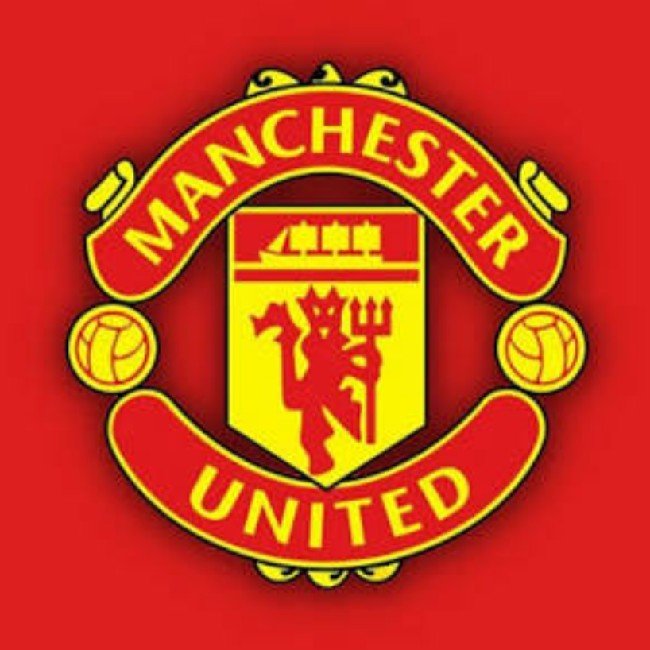 Manchester united (David)