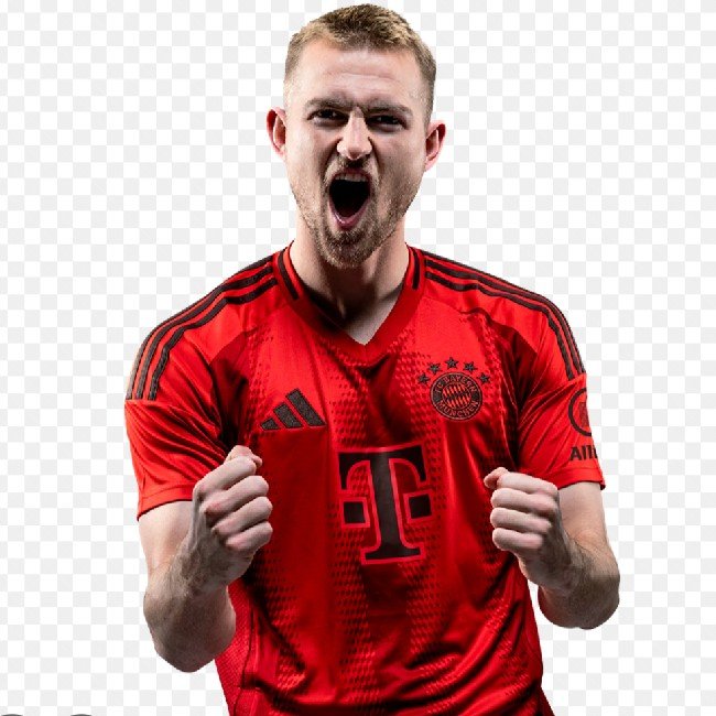 De ligt