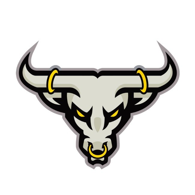 Houston Bulls