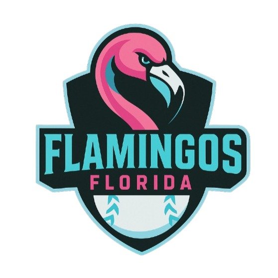 Florida Flamingos