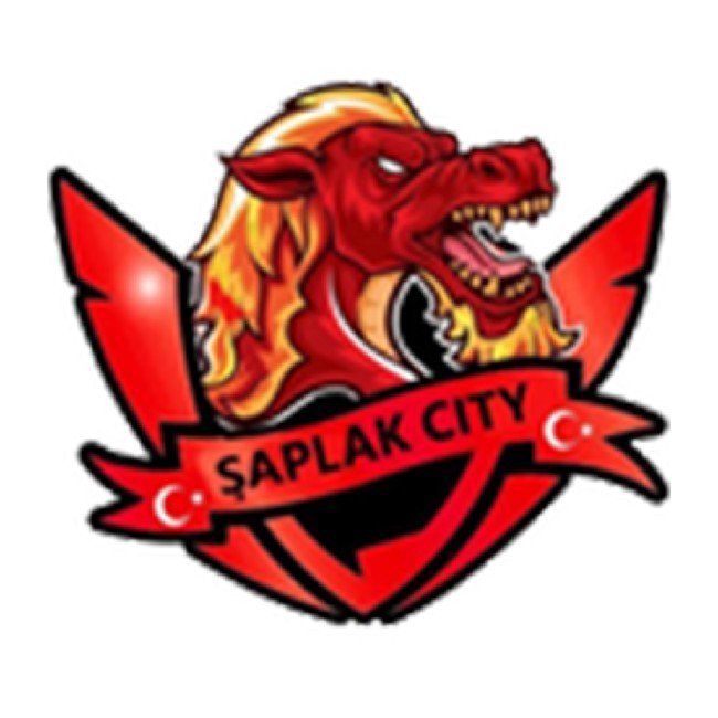 ŞAPLAK CİTY