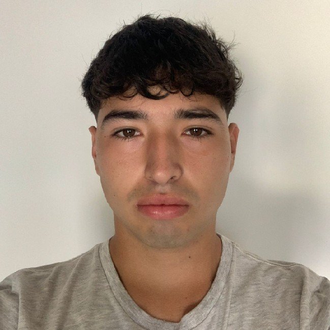 Fabian Michel Vergara Figueroa